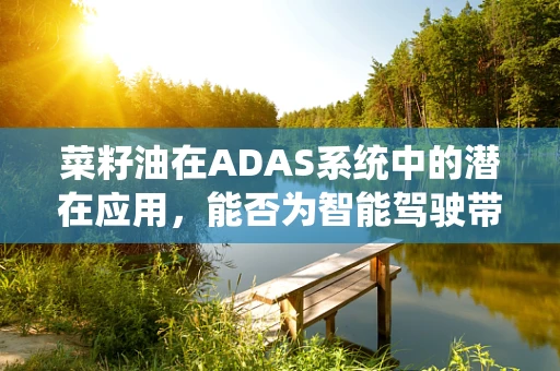 菜籽油在ADAS系统中的潜在应用，能否为智能驾驶带来新‘油’味？