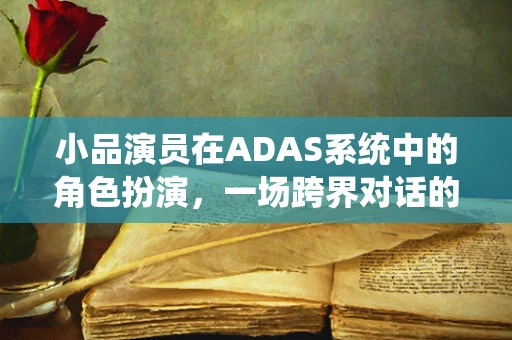 小品演员在ADAS系统中的角色扮演，一场跨界对话的启思