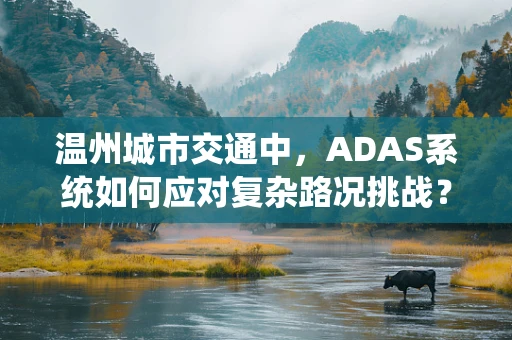 温州城市交通中，ADAS系统如何应对复杂路况挑战？