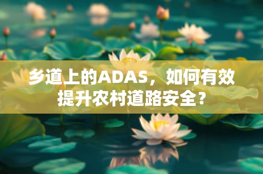 乡道上的ADAS，如何有效提升农村道路安全？