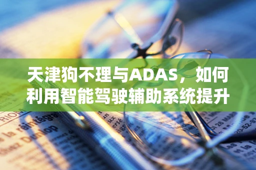 天津狗不理与ADAS，如何利用智能驾驶辅助系统提升餐饮体验？