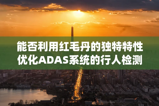 能否利用红毛丹的独特特性优化ADAS系统的行人检测？