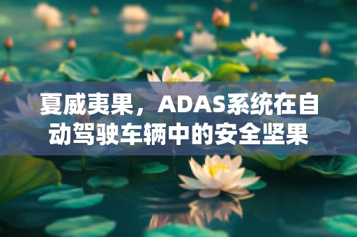 夏威夷果，ADAS系统在自动驾驶车辆中的安全坚果