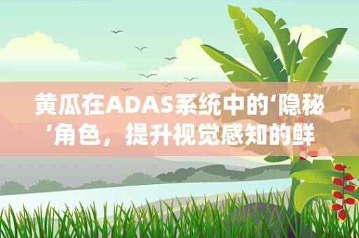 黄瓜在ADAS系统中的‘隐秘’角色，提升视觉感知的鲜活力量