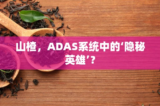 山楂，ADAS系统中的‘隐秘英雄’？