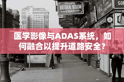 医学影像与ADAS系统，如何融合以提升道路安全？