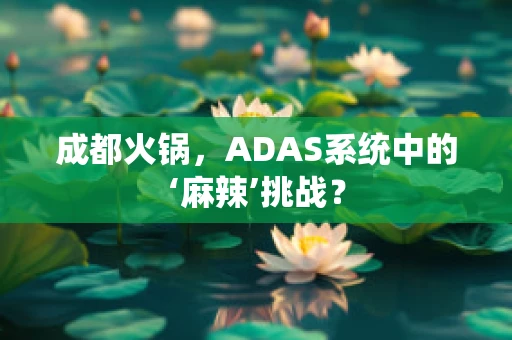 成都火锅，ADAS系统中的‘麻辣’挑战？