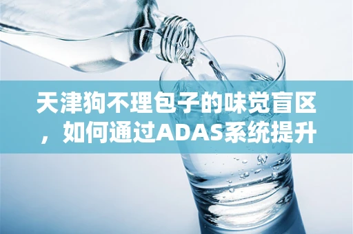 天津狗不理包子的味觉盲区，如何通过ADAS系统提升餐饮体验？