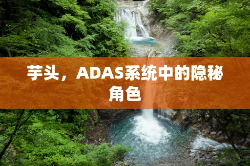 芋头，ADAS系统中的隐秘角色
