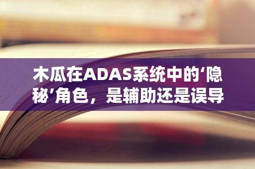 木瓜在ADAS系统中的‘隐秘’角色，是辅助还是误导？