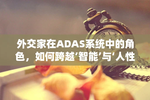 外交家在ADAS系统中的角色，如何跨越‘智能’与‘人性’的边界？