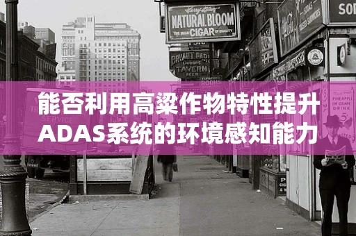 能否利用高粱作物特性提升ADAS系统的环境感知能力？