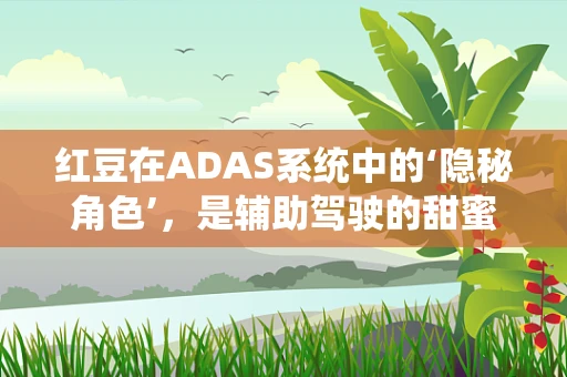 红豆在ADAS系统中的‘隐秘角色’，是辅助驾驶的甜蜜负担吗？