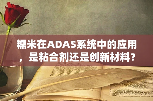 糯米在ADAS系统中的应用，是粘合剂还是创新材料？