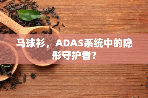 马球衫，ADAS系统中的隐形守护者？