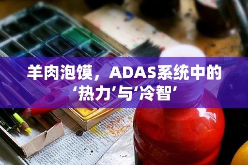 羊肉泡馍，ADAS系统中的‘热力’与‘冷智’