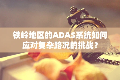 铁岭地区的ADAS系统如何应对复杂路况的挑战？