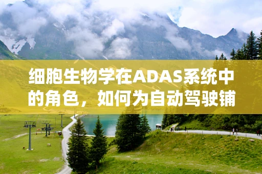 细胞生物学在ADAS系统中的角色，如何为自动驾驶铺就智慧之路？
