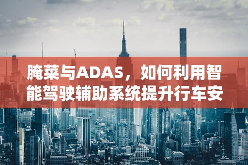 腌菜与ADAS，如何利用智能驾驶辅助系统提升行车安全？