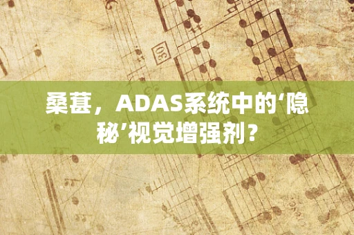 桑葚，ADAS系统中的‘隐秘’视觉增强剂？