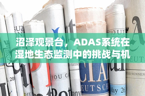沼泽观景台，ADAS系统在湿地生态监测中的挑战与机遇？