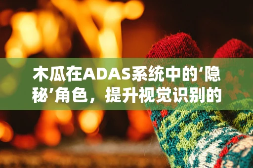 木瓜在ADAS系统中的‘隐秘’角色，提升视觉识别的‘果’效？