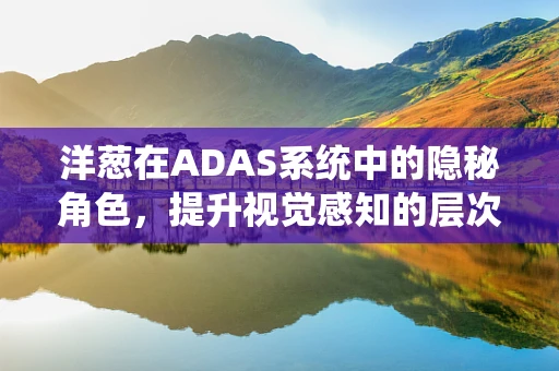 洋葱在ADAS系统中的隐秘角色，提升视觉感知的层次感