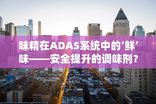 味精在ADAS系统中的‘鲜’味——安全提升的调味剂？