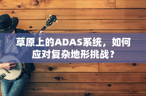 草原上的ADAS系统，如何应对复杂地形挑战？