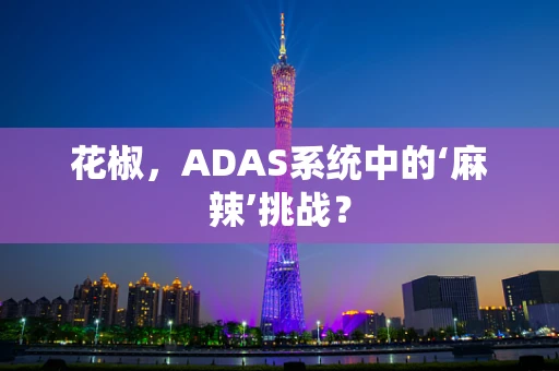 花椒，ADAS系统中的‘麻辣’挑战？