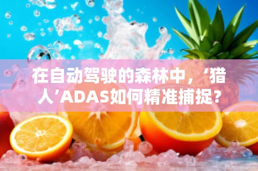 在自动驾驶的森林中，‘猎人’ADAS如何精准捕捉？